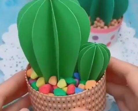 عکس کاکتوس غوره ای