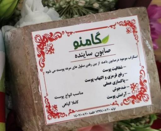 عکس الناز تقی زاده