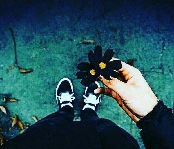 عکس برای پروفایل اینستاگرام گل