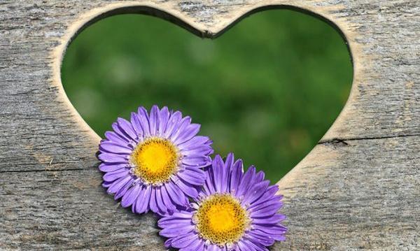 عکس برای پروفایل اینستاگرام گل
