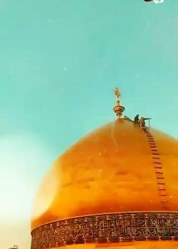 عکس شب قدر در حرم حضرت علی