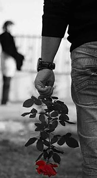 عکس پروف مود