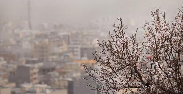 عکس آلودگی های هوا