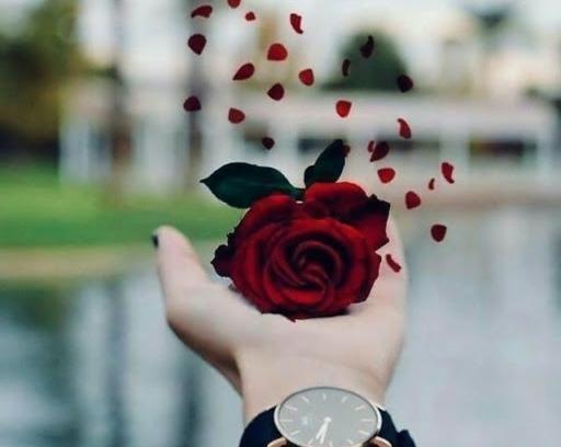 عکس برای پروفایل اینستا گل