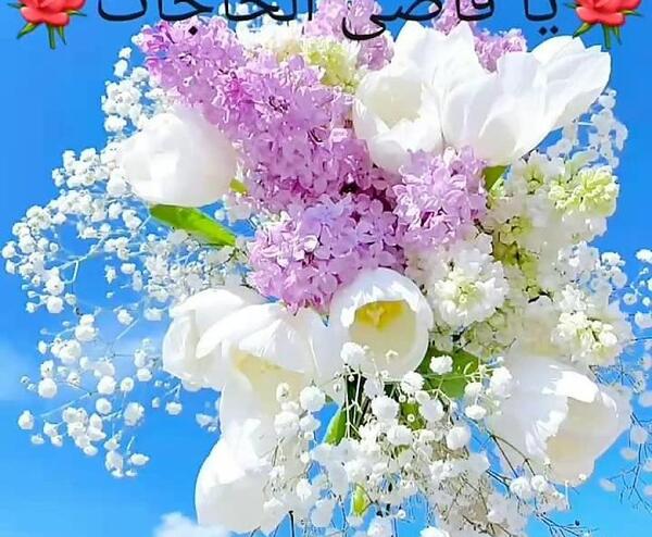 عکس پروفایل ذکر روز چهارشنبه