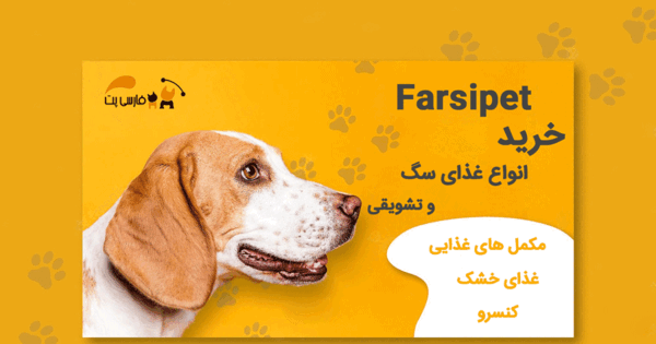 عکس سگ صورت گرد