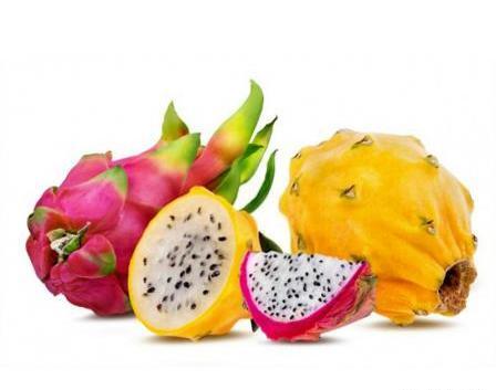 عکس میوه ی کاکتوس