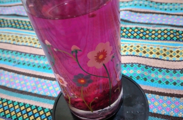 عکس میوه ی کاکتوس