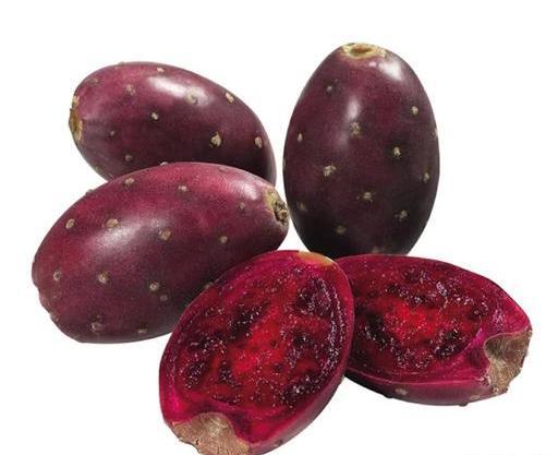 عکس میوه ی کاکتوس