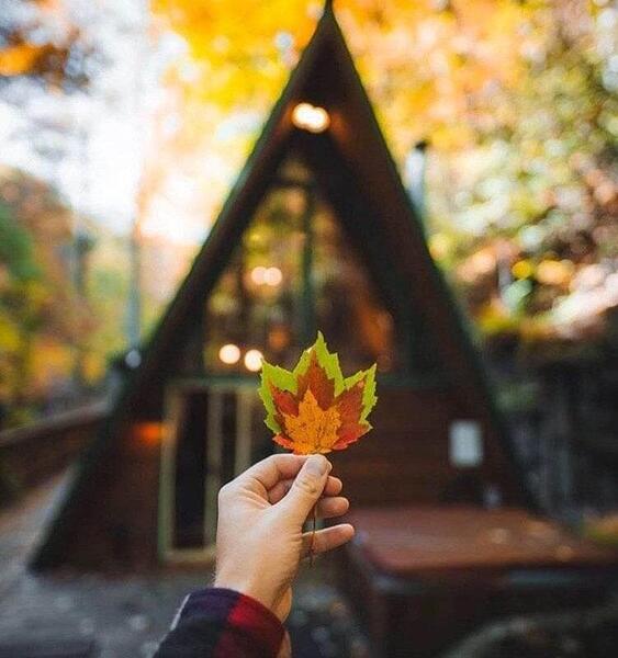عکس برای پروفایل واتساپ زنانه