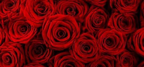 عکس برای پروفایل قرمز