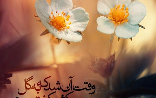 عکس دنیا گرده