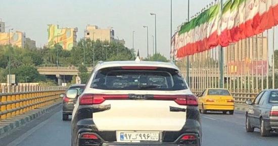 عکس تیگو ها