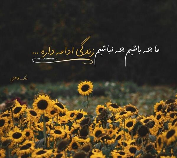 عکس برای پروفایل گروه لاکچری