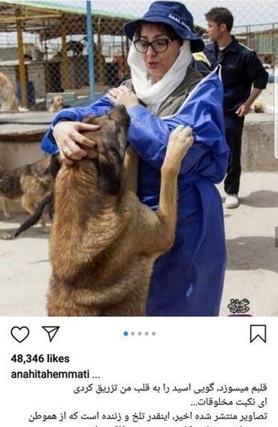 عکس سگ بزرگ