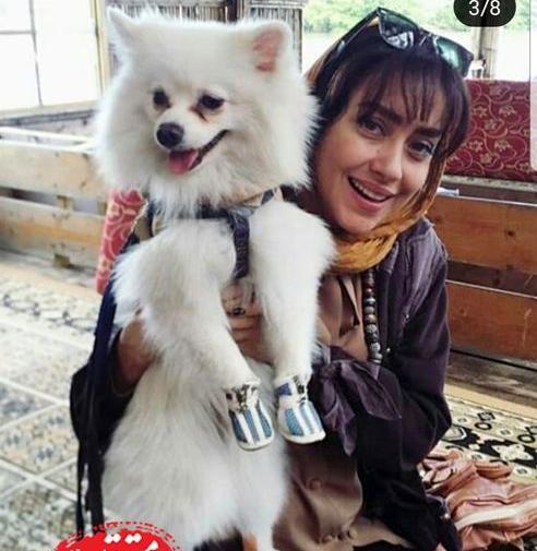 عکس سگ بزرگ