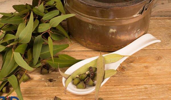 عکس پروفایل گروه طب سنتی