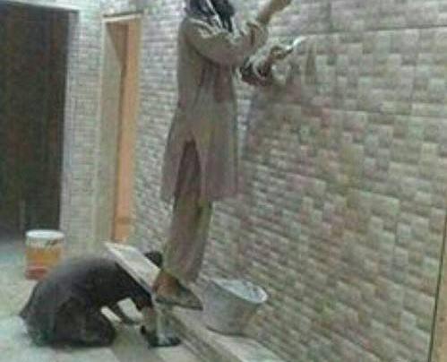 عکس های خنده داری