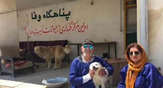 عکس بارداری نیکا فلاحی