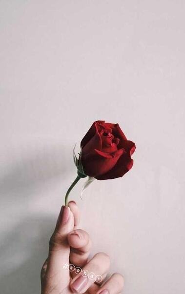 عکس برای پروفایل دخترونه غمگین بدون متن