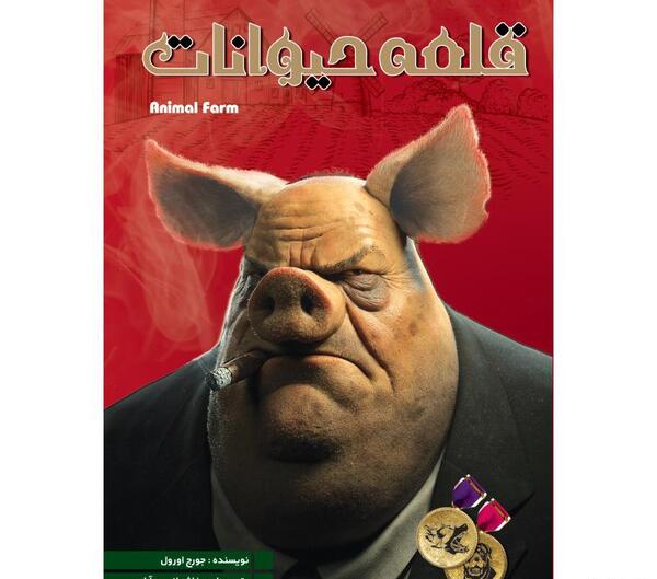 عکس نگین ولی زاده