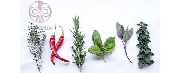 عکس سبزی مرغ ترش