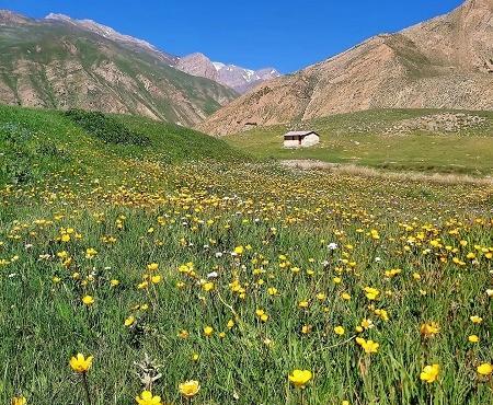 عکس کوهپایه
