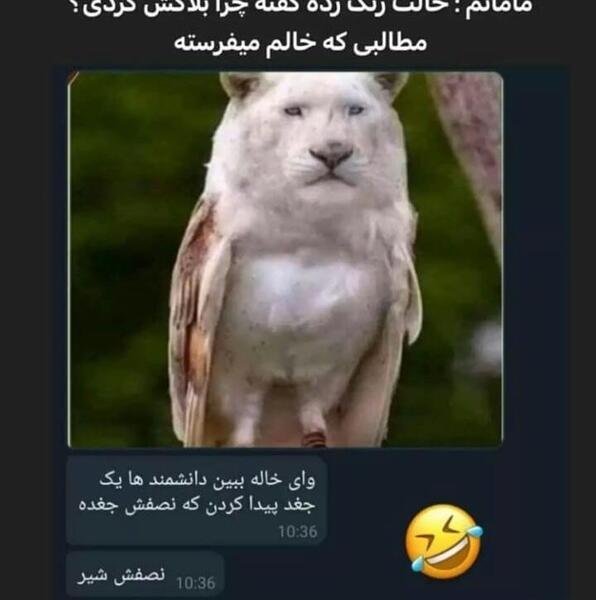 عکس برای پروفایل گروه ها
