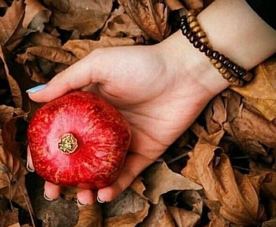 عکس پروفایل قرمز