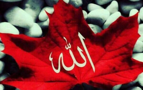 عکس پروفایل قرمز