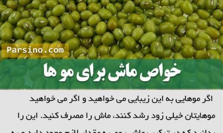 عکس سبز ماش