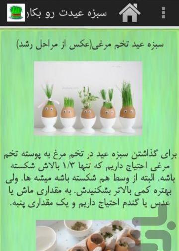 عکس سبز ماش