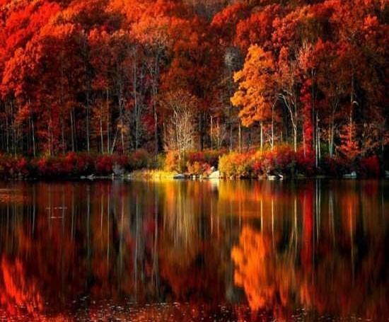 عکسهای سبز طبیعت