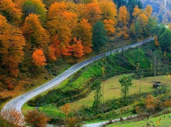 عکسهای سبز طبیعت