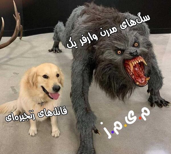 عکس های خنده دار کالاف