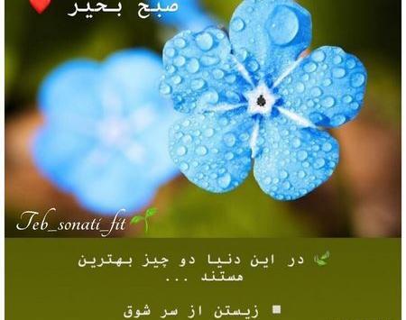 عکس صبح