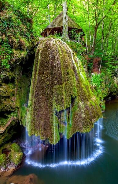 عکس روز طبیعت