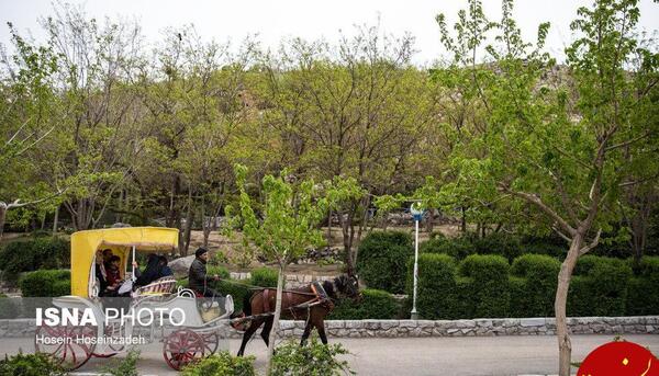 عکس روز طبیعت