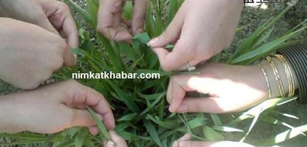 عکس های سیزده بدر طنز