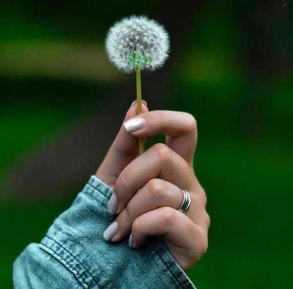 عکس پروفایل اینستا جونگ کوک
