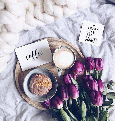 عکس برای پروفایل شاخه گل