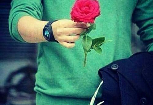 عکس برای پروفایل شاخه گل