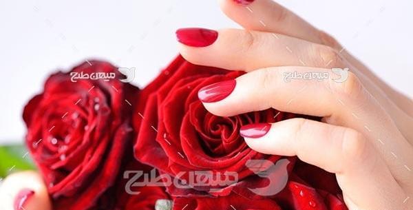 عکس برای پروفایل شاخه گل
