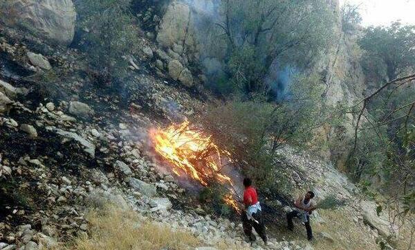 عکس پهپاد آتش نشان