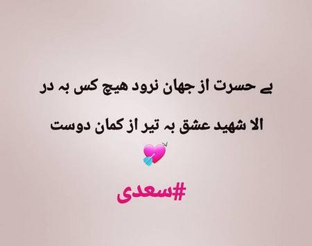 عکس نوشته لیلی بی عشق