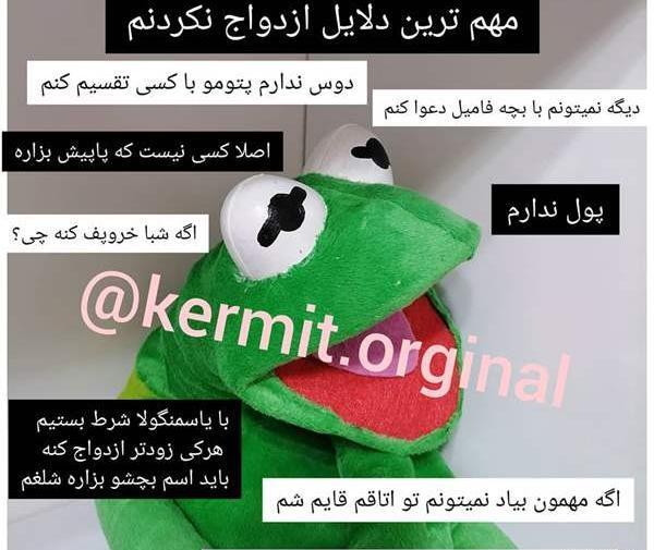 عکس یاس منگولا