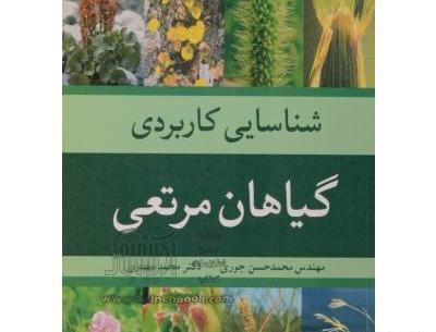 عکس امین محمد مهدوی