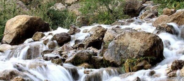 عکس یاسوج