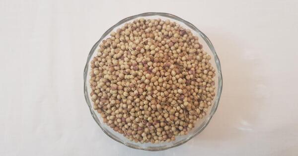 عکس گشنیز