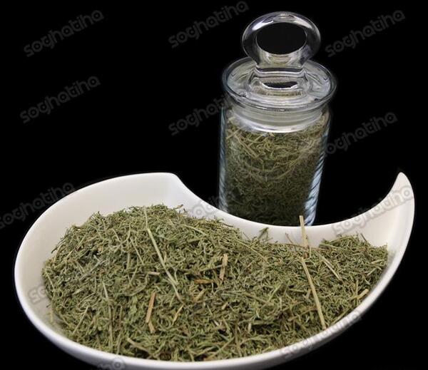 عکس گشنیز